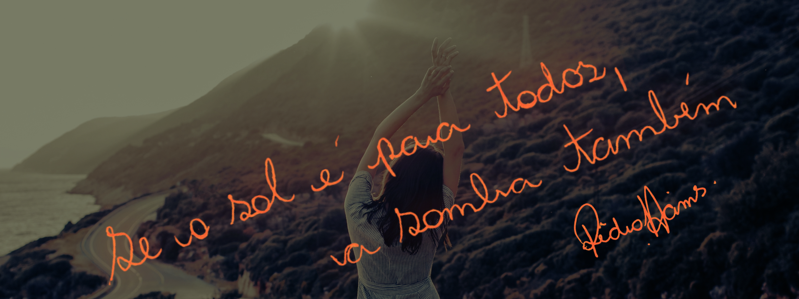 Banners site (2)
